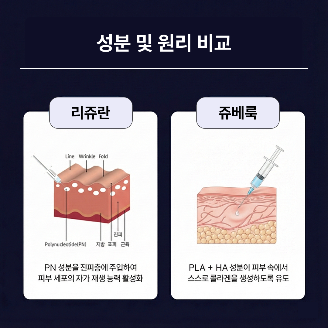 리쥬란쥬베룩차이 원리 비교-1.png