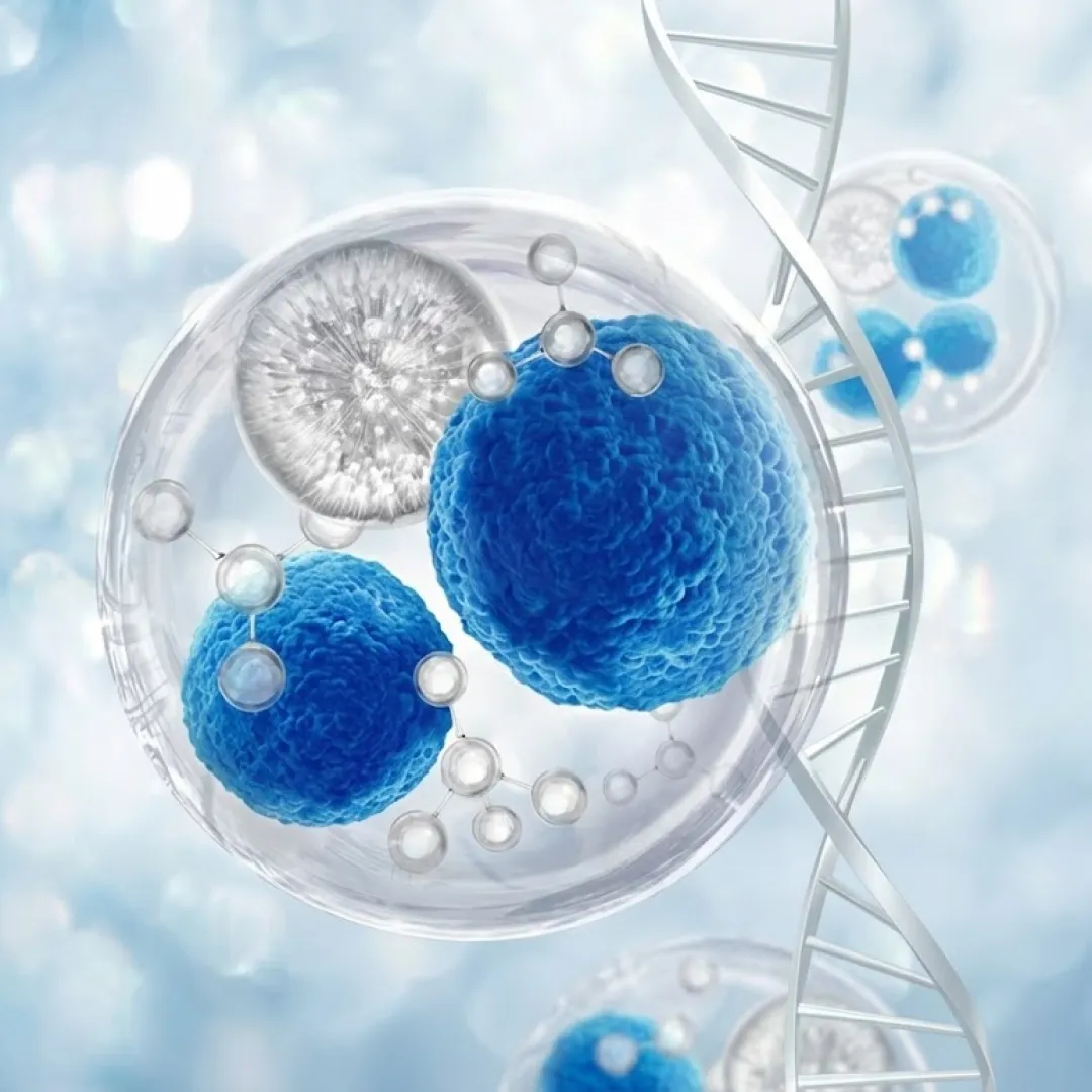 줄기세포 정의.webp